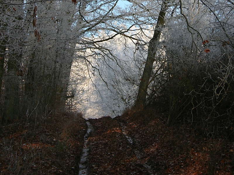 Killikus&reg; Fotographie